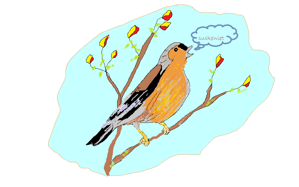 Kunnen vogels praten? Een voorleesverhaal  voor de kleintjes.